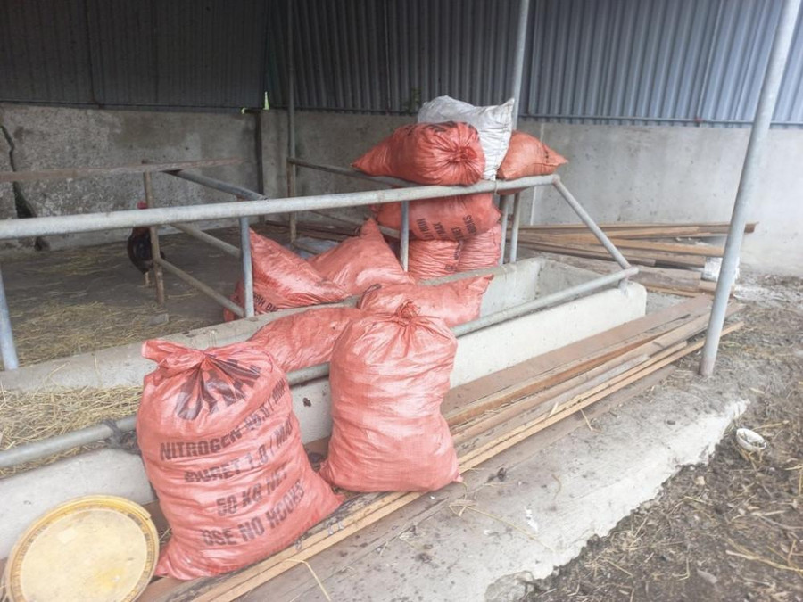 Nhiều bảo tải mỡ động vật tập kết trong cơ sở kinh doanh của bà Nguyễn Thị Hòa không rõ nguồn gốc.