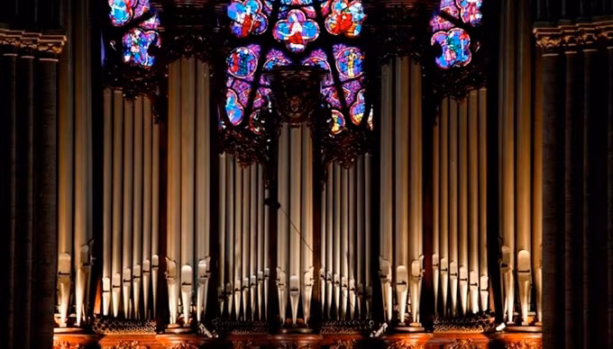Nguyên mẫu cây đàn organ ống lớn ở Nhà thờ Đức Bà Paris có từ thời Trung cổ. Qua thời gian, những nghệ nhân chế tác đàn đã không ngừng cải tiến nó. Dù vậy, một số ống đàn tạo ra âm thanh vẫn được giữ nguyên. Cây đàn có tới 8.000 ống, 5 bàn phím và 109 phím, là đàn organ ống lớn nhất Pháp.