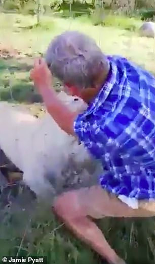 Sau 5 giây, con sư tử đã thả tay ông ra và bỏ đi