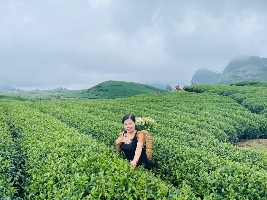 Cô giáo Vũ Thị Hạnh, vinh dự là Nhà giáo Nhân dân đầu tiên của tỉnh Yên Bái.