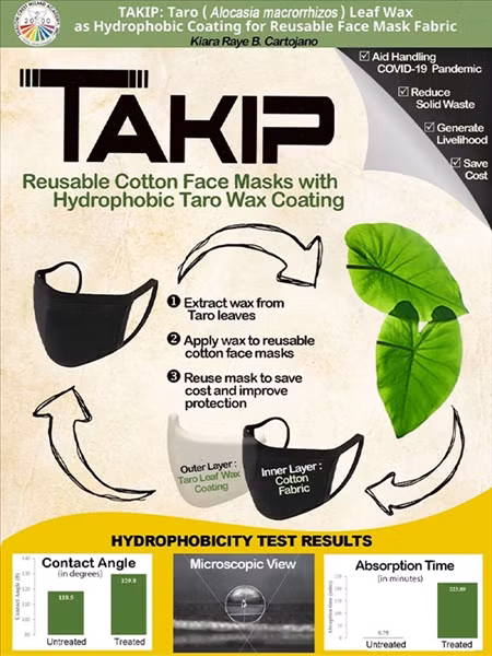 Hình ảnh Cartojano sử dụng trong nghiên cứu của mình về dùng sáp từ lá khoai môn để bảo vệ khẩu trang.