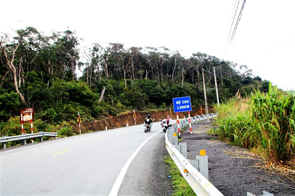 Cung đường nối những cuộc tình