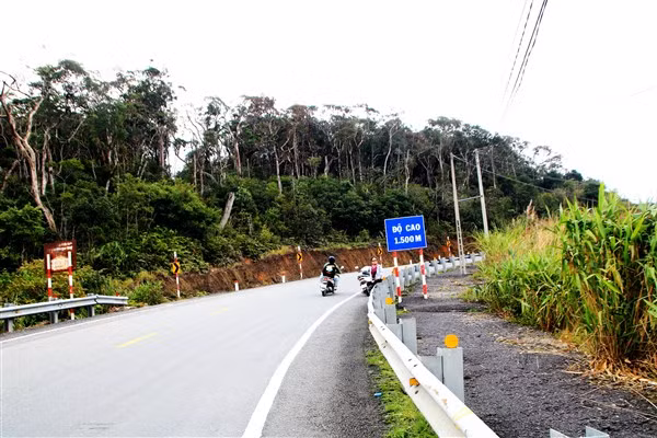 Cung đường nối những cuộc tình