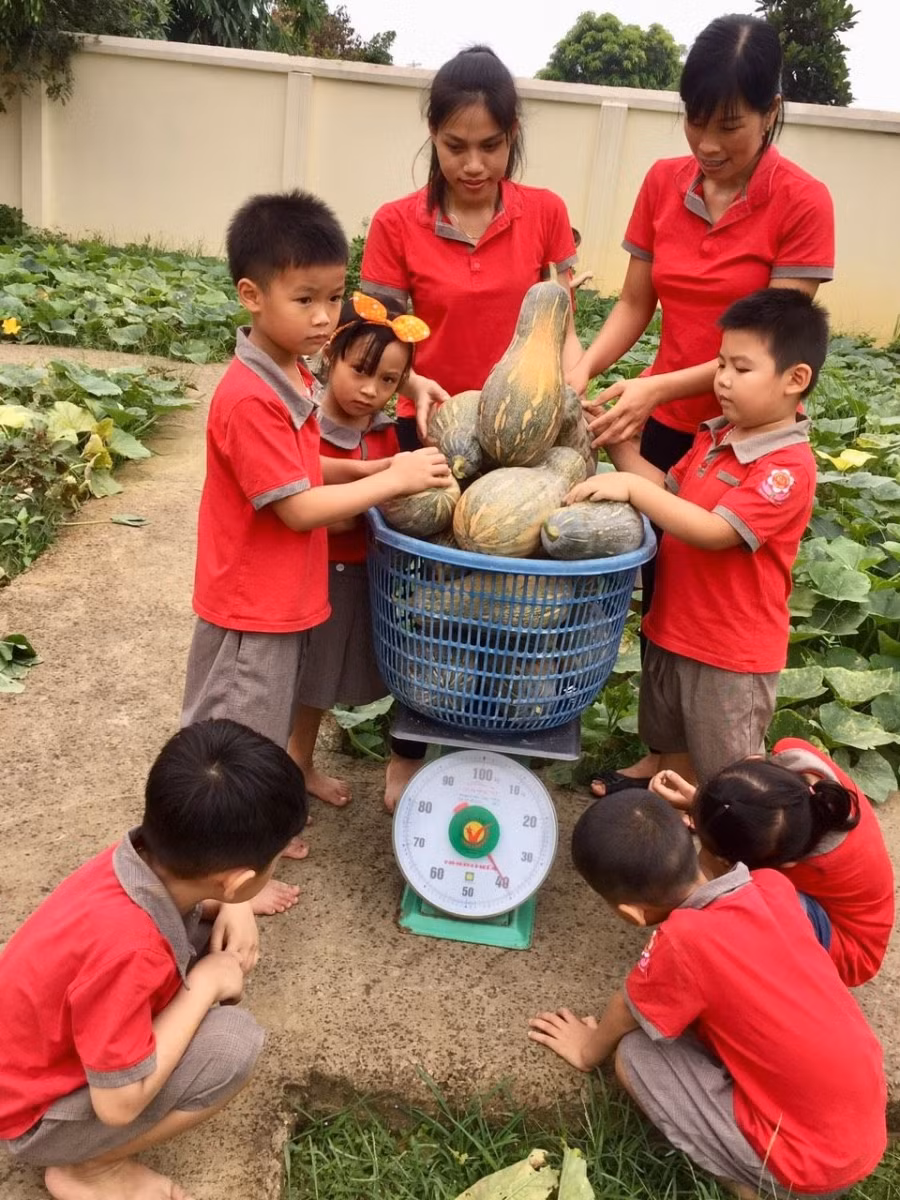 Cô và trò Trường Mầm non Bích Sơn, huyện Việt Yên với phong trào “Vườn rau sạch cho bé”