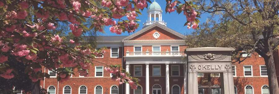 Vẻ đẹp của ngôi trường 'cổ tích' vào mùa Xuân