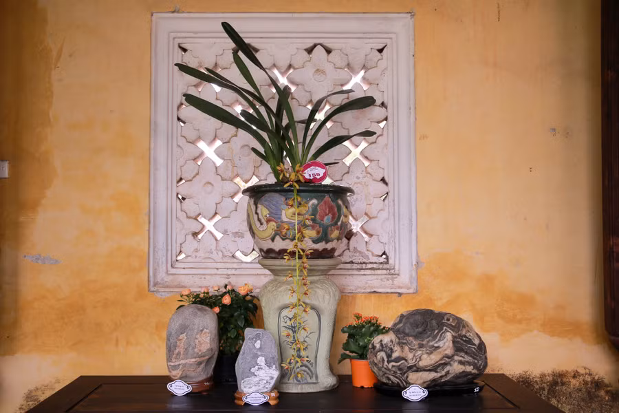 Các tác phẩm bằng đá và hoa lan của các nghệ nhân tại triển lãm.