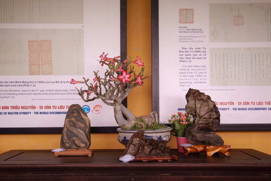 Hơn 100 tác phẩm đá cảnh nghệ thuật tại triển lãm.