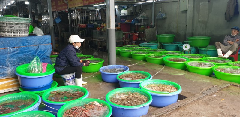 Chợ Hạ Long chiều 28/1 vắng khách. Chợ Hạ Long chiều 28/1 vắng khách.