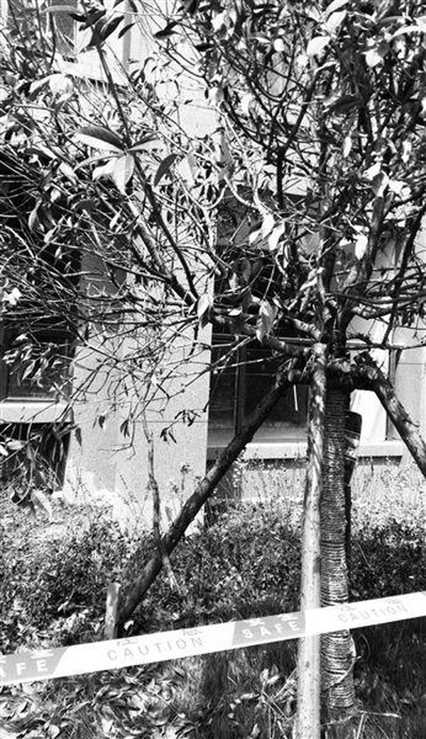 rơi xuống rơi xuống