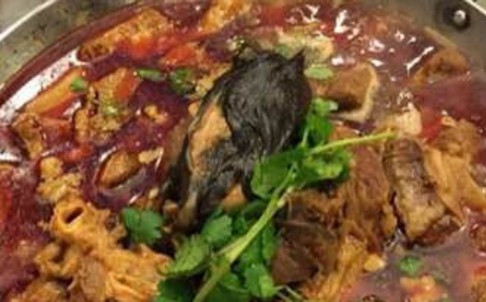 Xác chuột chết trong món ăn tại đám cưới. Ảnh: SCMP Xác chuột chết trong món ăn tại đám cưới. Ảnh: SCMP