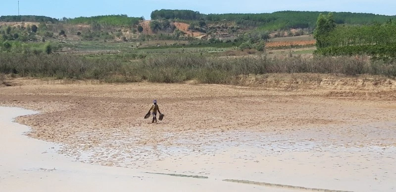 Kon Tum: Hạn hán khiến cây khô, “người héo”