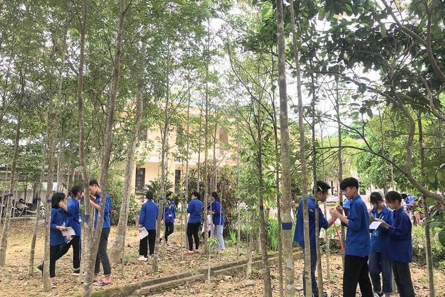 Buổi học Toán trong vườn cây của cô trò Trường THPT Phúc Trạch (Ảnh: NVCC). Buổi học Toán trong vườn cây của cô trò Trường THPT Phúc Trạch (Ảnh: NVCC).