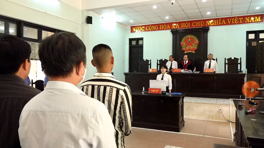 Các bị cáo phải chịu hình phạt do hành vi phạm tội của mình gây ra.