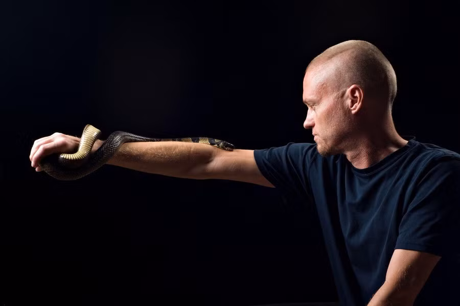 Tim Friede đã bị rắn độc cắn 200 lần.