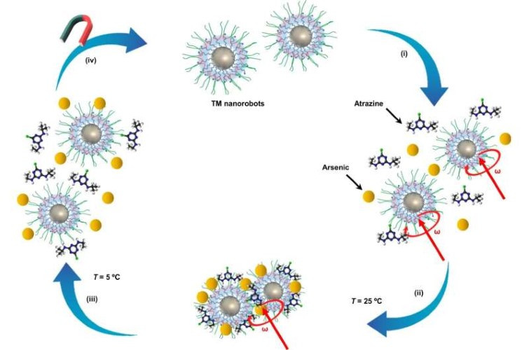 Công thức ứng dụng của nanorobot trong khử kim loại nặng.