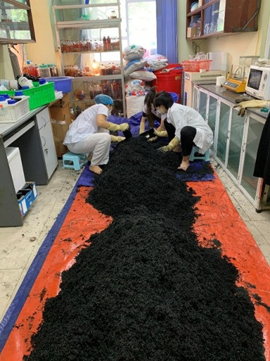 Sản xuất chế phẩm tại phòng thí nghiệm. Ảnh: NVCC