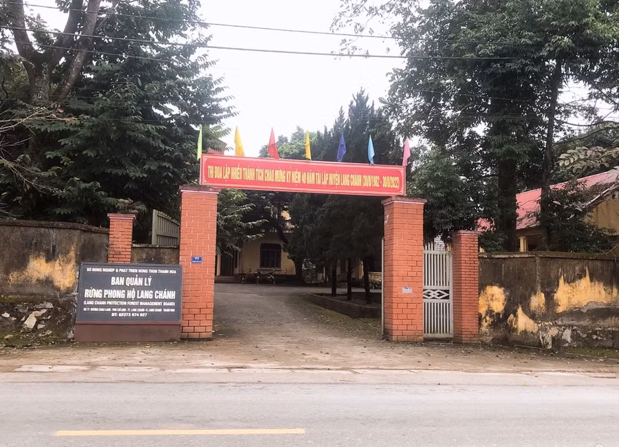 Ban Quản lý rừng phòng hộ Lang Chánh đã thu hồi thừa số diện tích đất được phê duyệt để trồng cây đa mục đích.