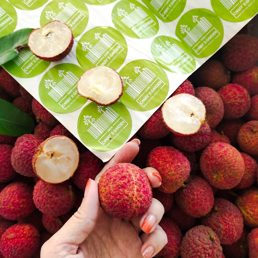 Vải không hạt lần đầu tiên được xuất đi thị trường Nhật Bản và Vương quốc Anh. Vải không hạt lần đầu tiên được xuất đi thị trường Nhật Bản và Vương quốc Anh.