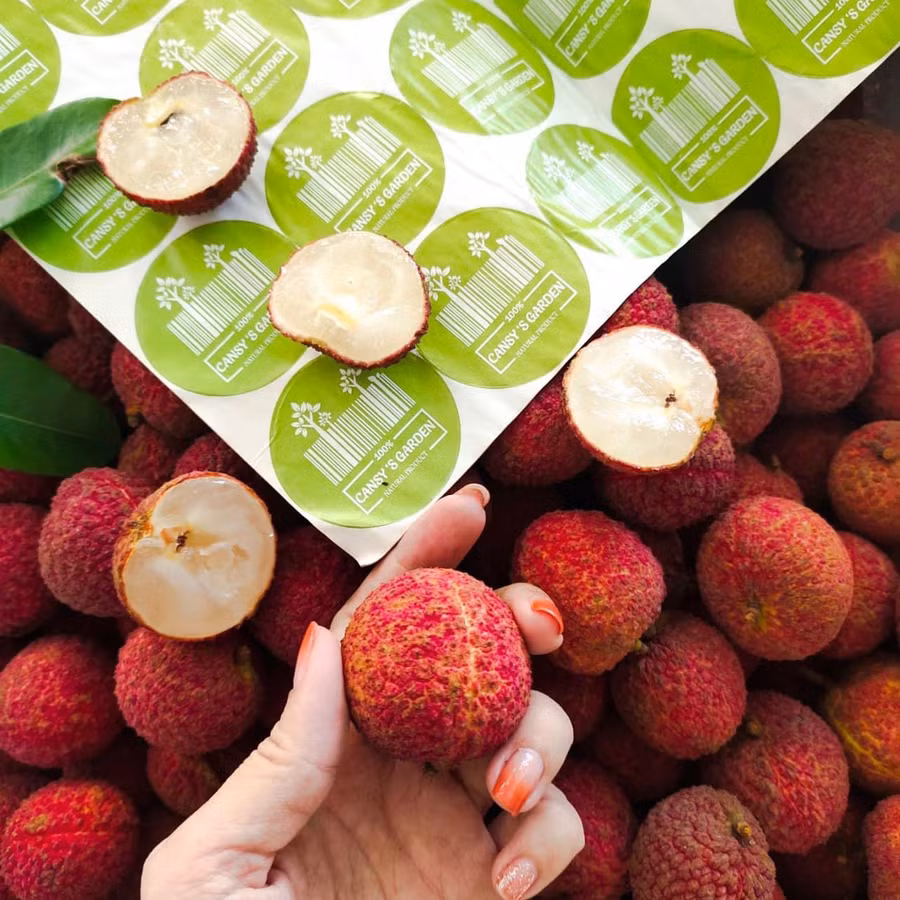 Vải không hạt lần đầu tiên được xuất đi thị trường Nhật Bản và Vương quốc Anh.