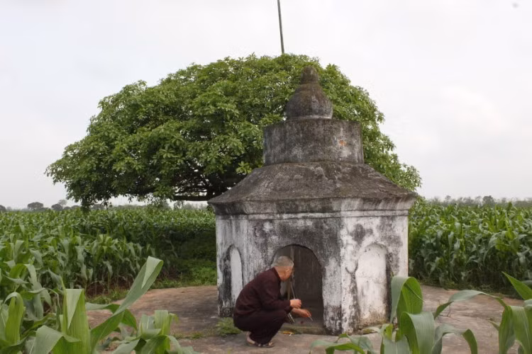 Mộ Thái úy Lưu Khánh Đàm ven dòng sông Luộc.