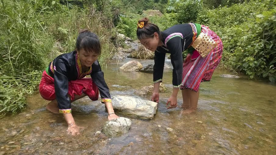 Phụ nữ dân tộc Cống Khao bắt cua đá, chuẩn bị cho Tết Ngô.