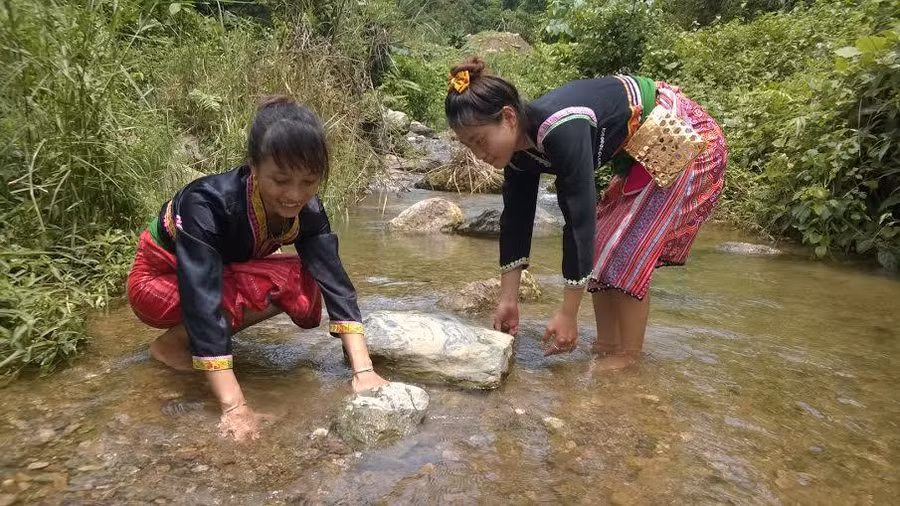 Phụ nữ dân tộc Cống Khao bắt cua đá, chuẩn bị cho Tết Ngô.