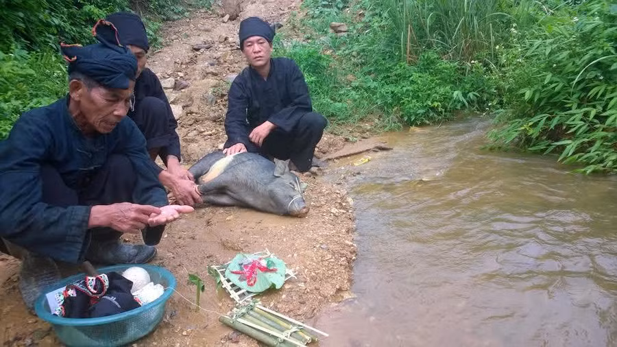 Nghi thức Cúng gọi hồn trong Tết Ngô được phục dựng.