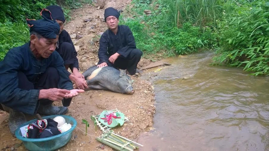 Nghi thức Cúng gọi hồn trong Tết Ngô được phục dựng.