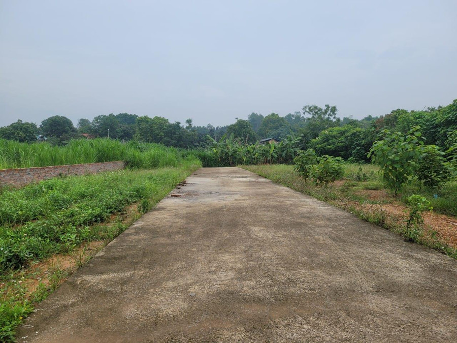 Thôn Giếng Mát, xã Hướng Đạo, huyện Tam Dương, tỉnh Vĩnh Phúc thực hiện duy trì, nâng cao chất lượng các tiêu chí nông thôn mới. Thôn Giếng Mát, xã Hướng Đạo, huyện Tam Dương, tỉnh Vĩnh Phúc thực hiện duy trì, nâng cao chất lượng các tiêu chí nông thôn mới.