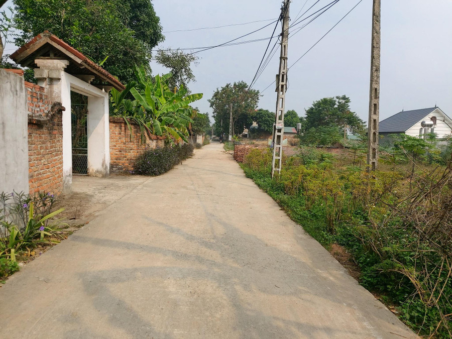 Trục chính thôn mới Thanh Vân, huyện Tam Dương cứng hóa đường trục thôn, đường liên thôn và đường nội đồng gắn với giao thông liên thôn thời gian qua. Trục chính thôn mới Thanh Vân, huyện Tam Dương cứng hóa đường trục thôn, đường liên thôn và đường nội đồng gắn với giao thông liên thôn thời gian qua.