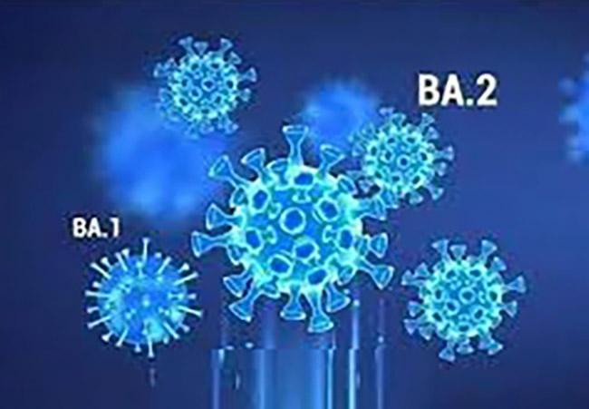 BA.1 và BA.2 là biến thể phụ của Omicron. Ảnh: Internet.
