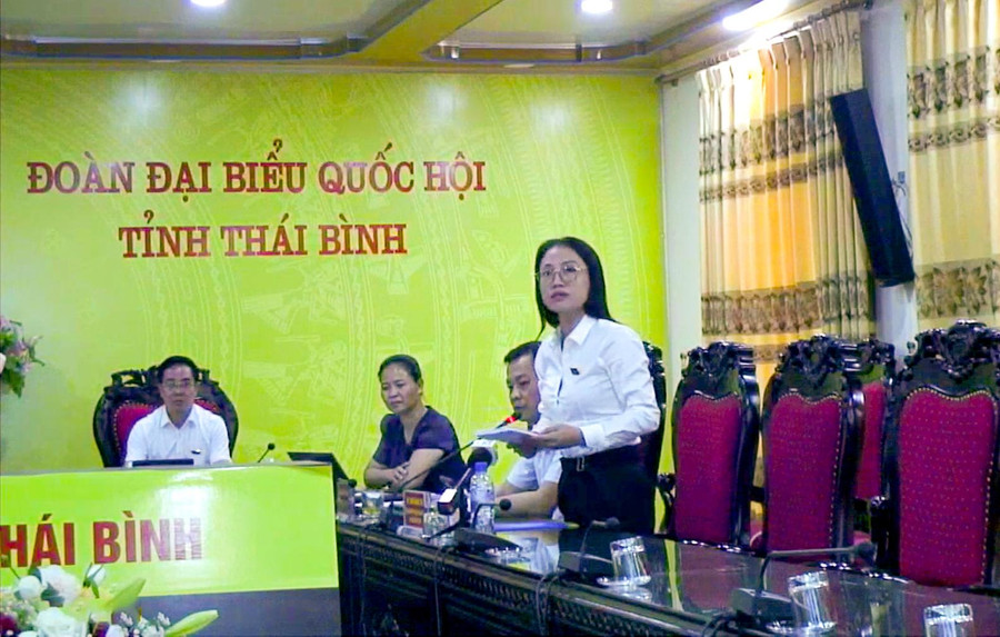 Đại biểu Trần Khánh Thu, Đoàn ĐBQH Thái Bình. Ảnh: Quochoi.vn.