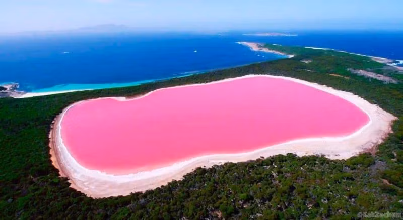 Lac Rose lộng lẫy nhất khi trời ngập nắng.