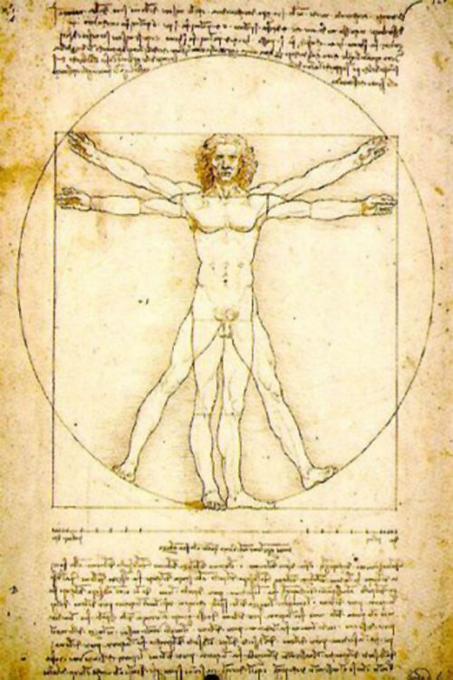 Những kiệt tác hội họa làm đau đầu hậu thế của Leonardo da Vinci ảnh 12 Bức vẽ Người Vitruvius của Leonardo da Vinci