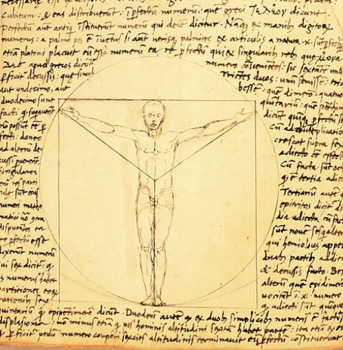 Những kiệt tác hội họa làm đau đầu hậu thế của Leonardo da Vinci ảnh 13 Bức vẽ Người Vitruvius của Giacomo Andrea