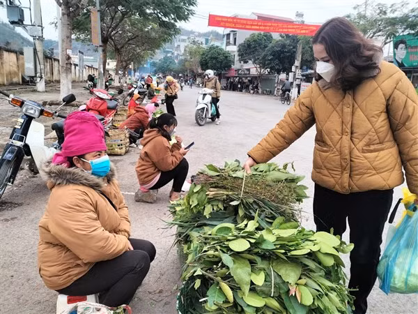 Nhiều người dân ở Sơn La tìm mua các loại lá về xông mũi vì có thông tin sẽ phòng, chữa được Covid-19.