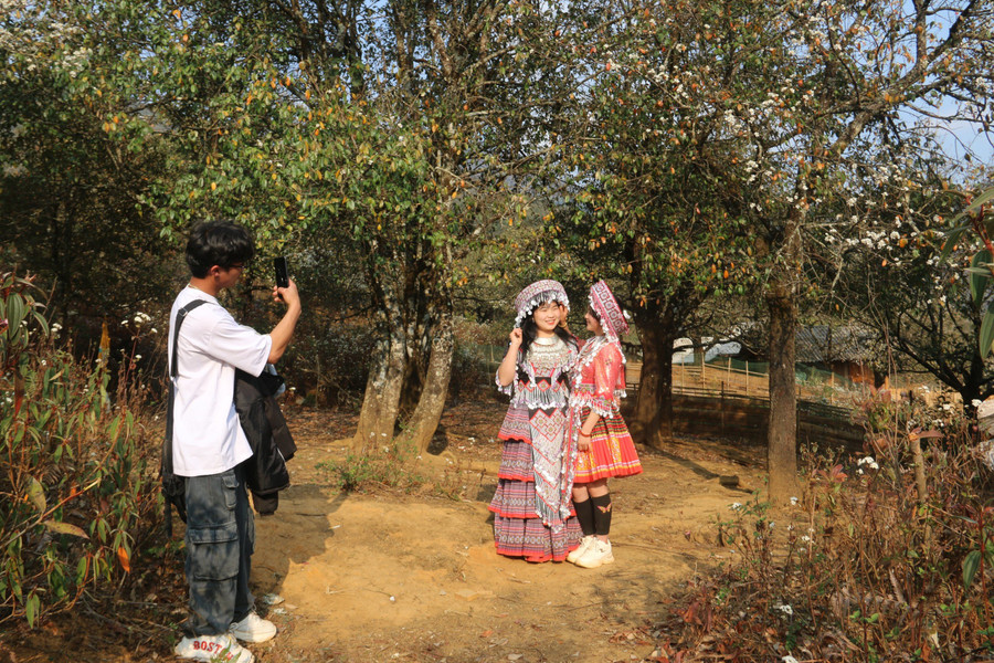 Nam thanh nữ tú check in tại vườn Sơn Tra trắng muốt. Nam thanh nữ tú check in tại vườn Sơn Tra trắng muốt.