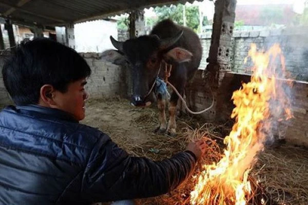  Tây Bắc Bộ rét hại dưới 10 độ (Ảnh minh họa)