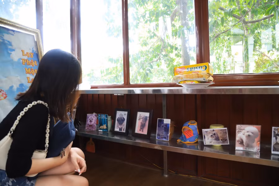 Chủ nhân đến thăm 'người bạn bốn chân' của mình.