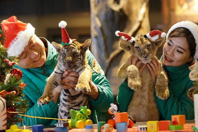 Giáng sinh, Noel Giáng sinh, Noel