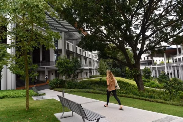 Sinh viên Singapore ưu tiên học trong nước vì đại dịch.