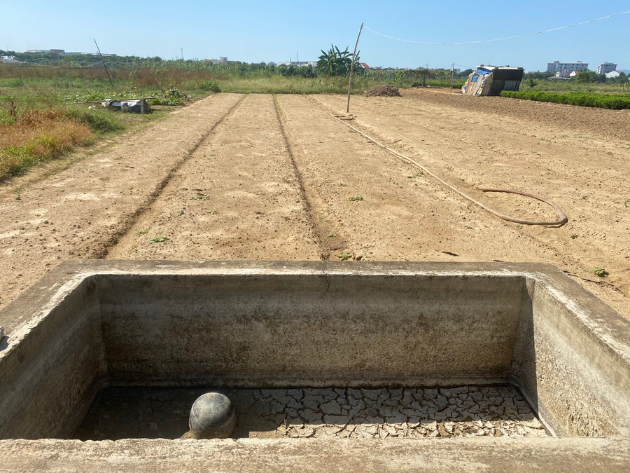 Nắng nóng kéo dài khiến tình trạng nước sông nhiễm mặn, nước giếng bị phèn dẫn đến việc nhiều người bỏ ruộng rau không làm.