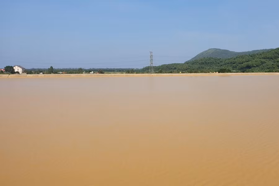 Nước tại đập Khe Bò đục ngầu do lượng lớn bùn đất từ dự án chảy xuống.