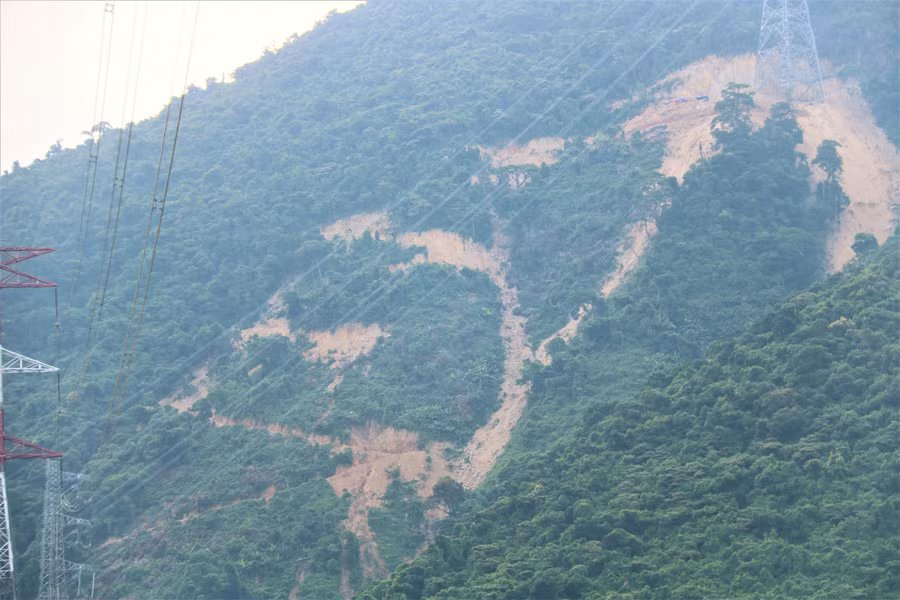 Bùn đất tràn vách núi, vùi lấp cây cối.