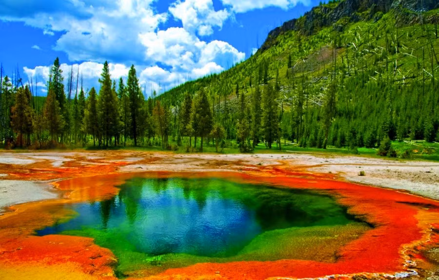 Kỳ thú công viên quốc gia