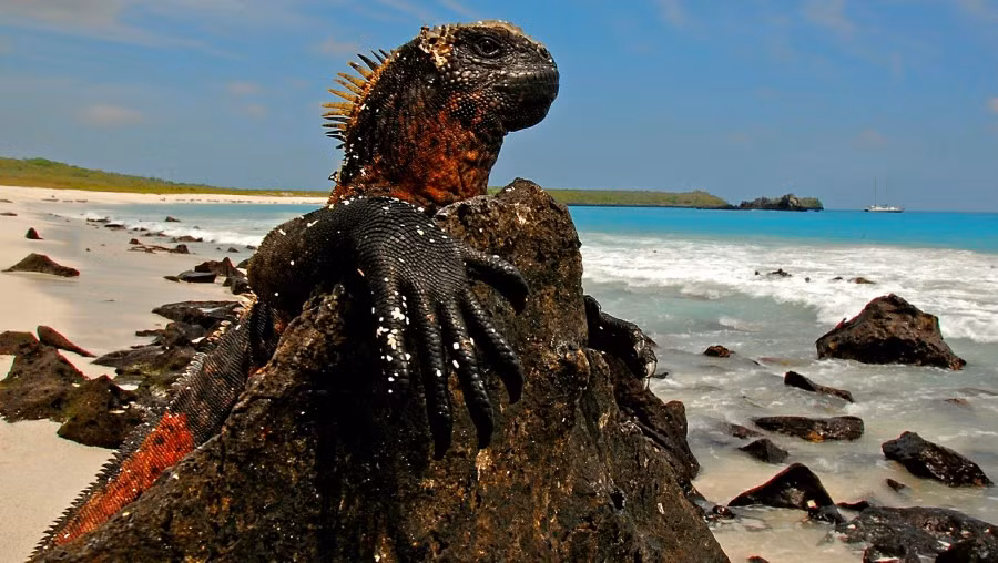 Kỳ thú công viên quốc gia ảnh 2