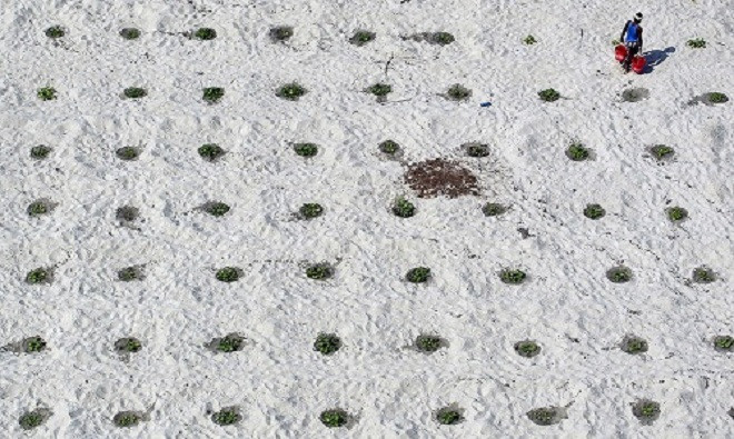 Những bức hình ám ảnh về thực trạng khan hiếm nước ảnh 7