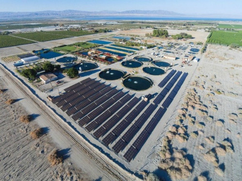 Người Do Thái nuôi cá trên sa mạc. ten-cuop-sa-luoi-vi-nu-nan-nhan-qua-depnong-tren-mang-xh-8