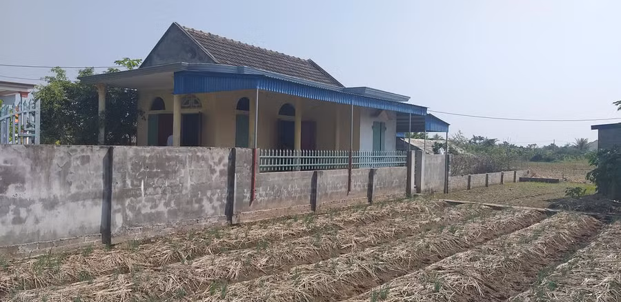 vu nem con xuong song roi nhay cau: noi thong kho cua nguoi me hinh anh 3