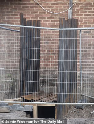 Phát hiện trang trại cần sa hoạt động trót lọt hàng chục năm dưới lòng đất ảnh 2 Phat hien trang trai can sa duoi long dat hinh anh 2